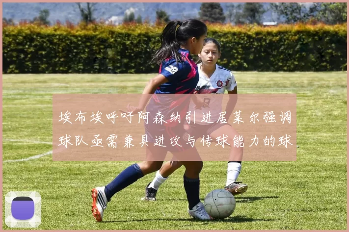 埃布埃呼吁阿森纳引进居莱尔强调球队亟需兼具进攻与传球能力的球员