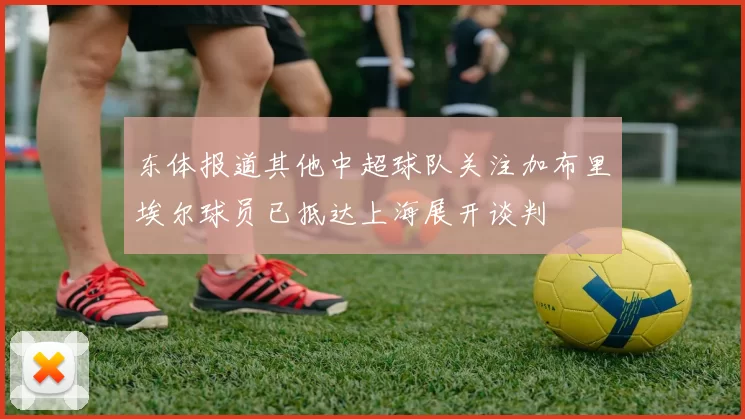 东体报道其他中超球队关注加布里埃尔球员已抵达上海展开谈判